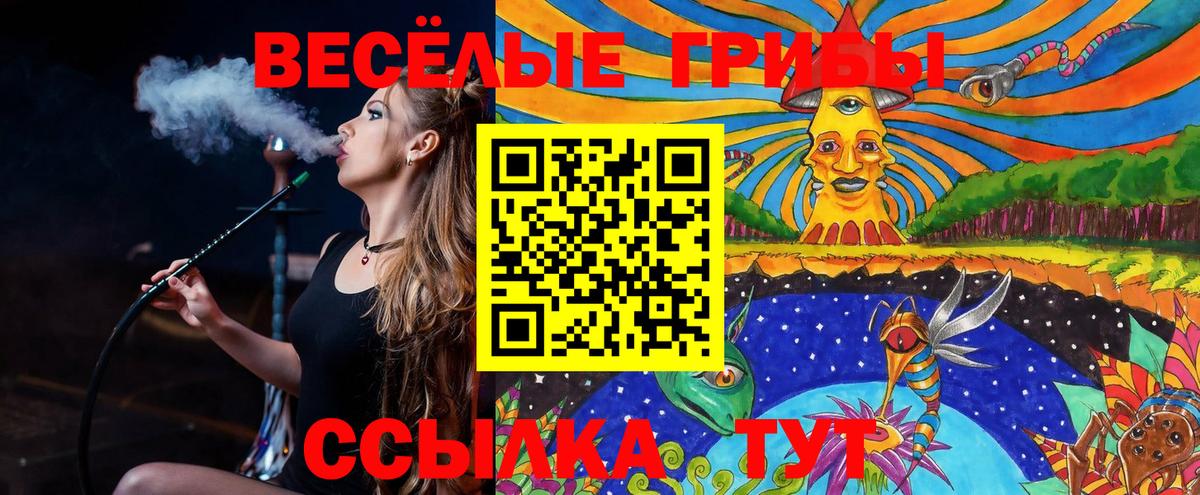 Псилоцибиновые грибы Psilocybine cubensis  Вход с VPN  Магадан 